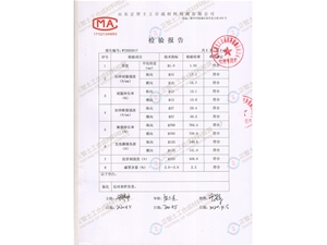 檢驗報告