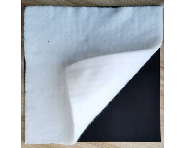 復(fù)合土工膜樣品圖